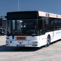 Scoala de soferi-64